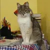 Отзыв от Алена Колосова